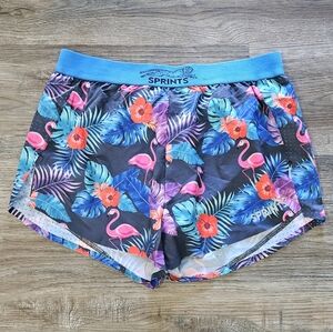 SPRINTS The Avigate 2.5 Mercy Lined 2.5 Running Shorts